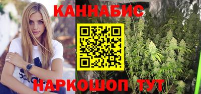 шишки Донской