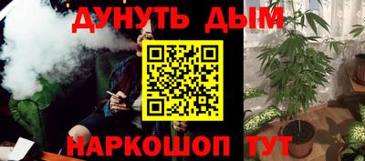 шишки Донской