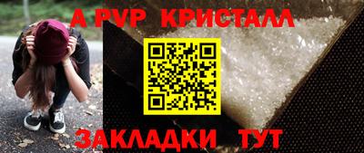 шишки Донской