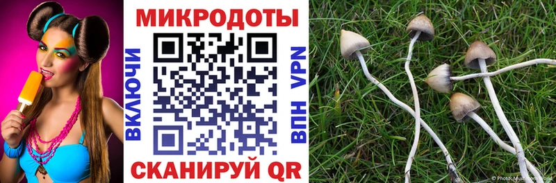 Псилоцибиновые грибы прущие грибы  Лесозаводск 
