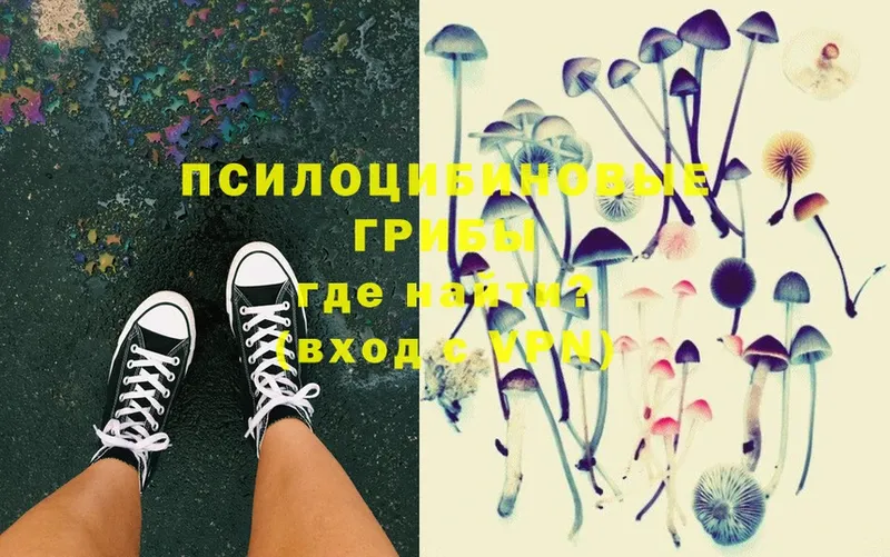 Псилоцибиновые грибы Magic Shrooms Лесозаводск