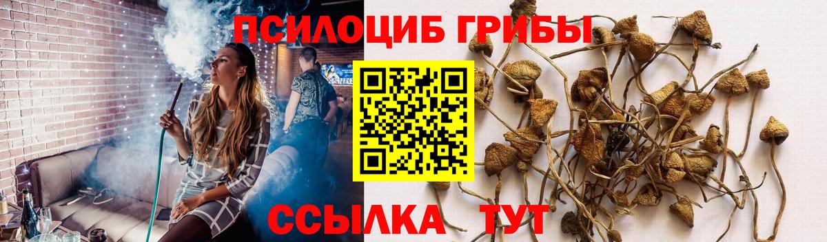Лесозаводск  Псилоцибиновые грибы мухоморы  Вход с VPN 